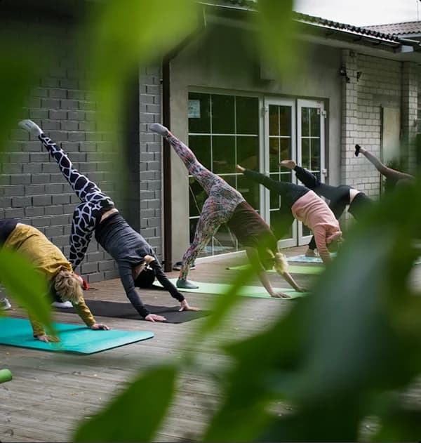 Wellness